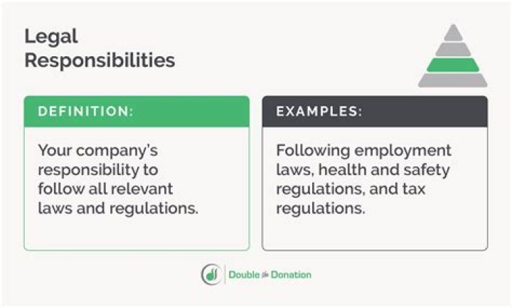 What are the legal responsibilities of a carer?