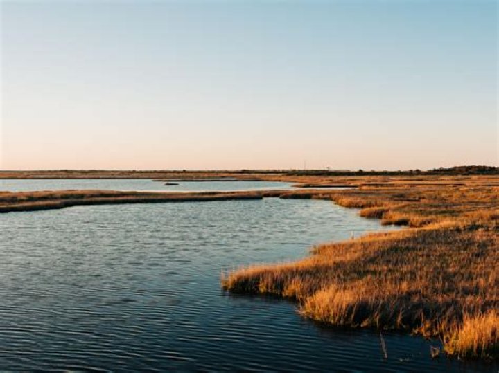 What are the major industries in coastal plains?