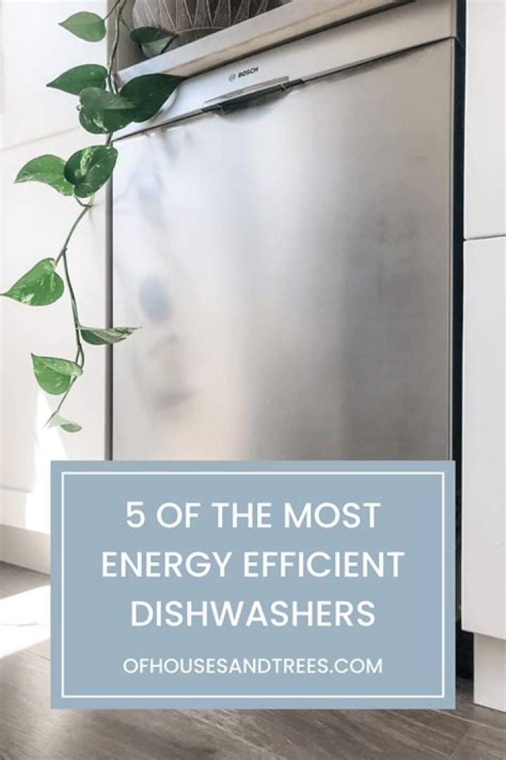 What are the most energy efficient dishwashers?