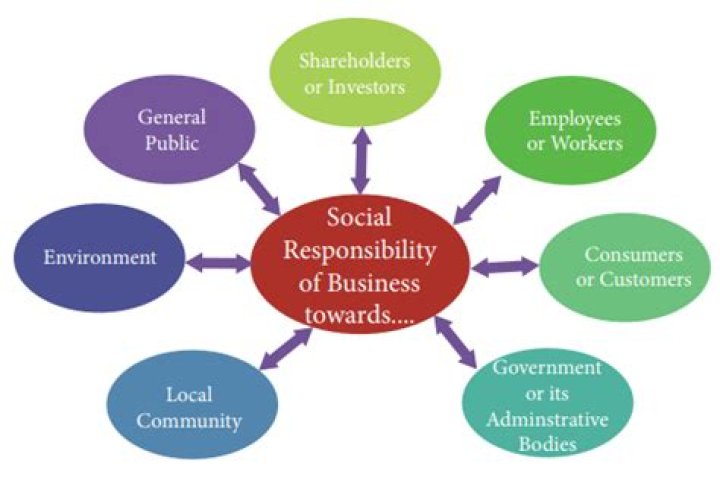 What are the responsibilities of business towards government and consumers?
