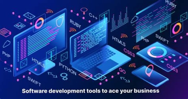 What are the software development services?