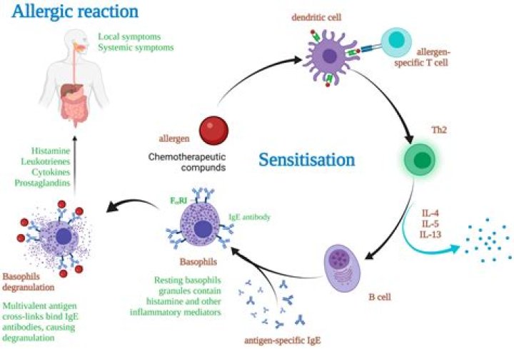 What are the symptoms of an allergic reaction to contrast dye?
