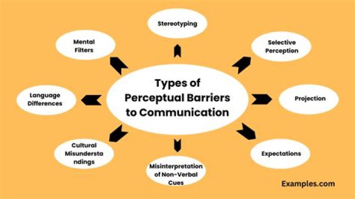 What are the types of perceptual bias?