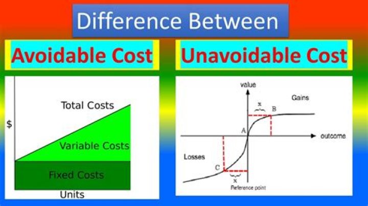 What are unavoidable costs?