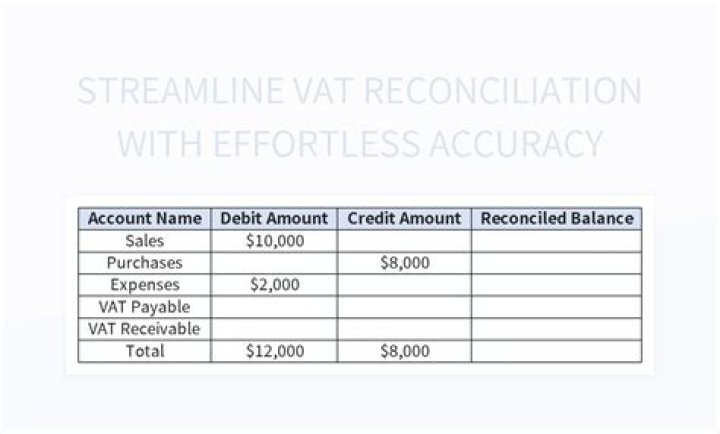 What are VAT accounts?