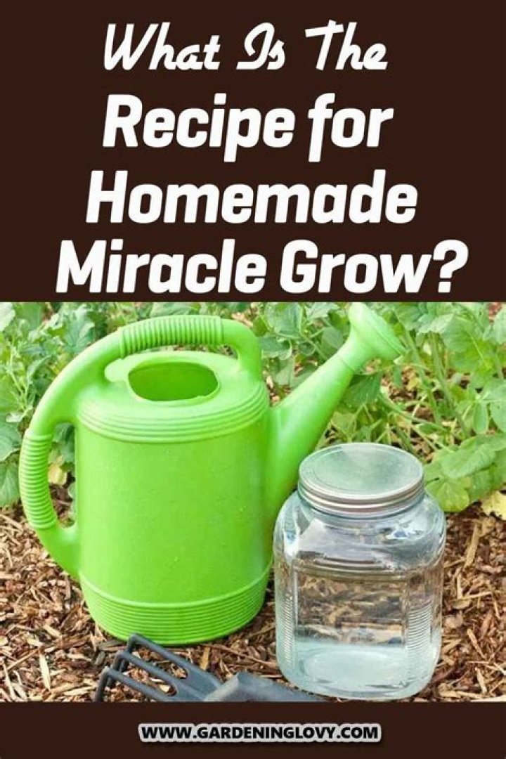 What can I use instead of Miracle Grow?