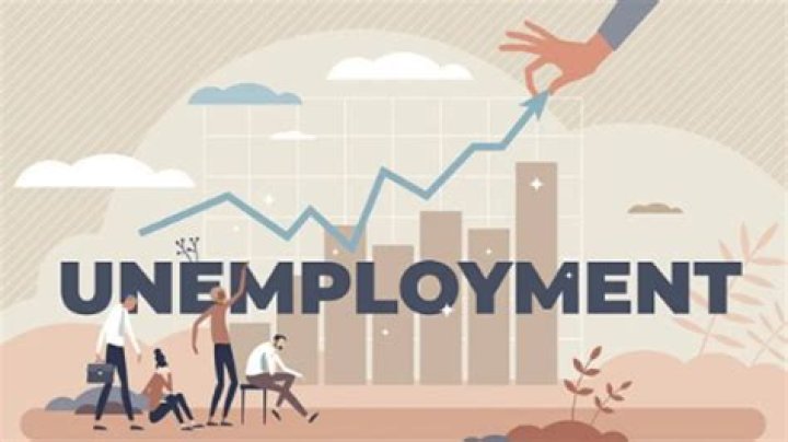 What can the government do to decrease unemployment?