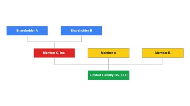 What company structure is an LLC?