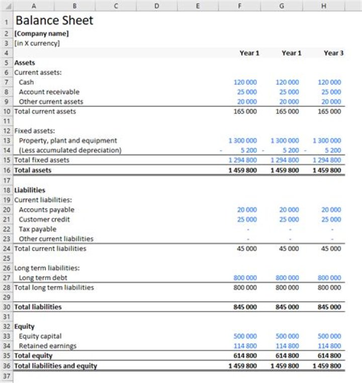 What date is used when reporting the balance sheet?