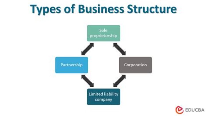 What determine the best structure the fits your business?