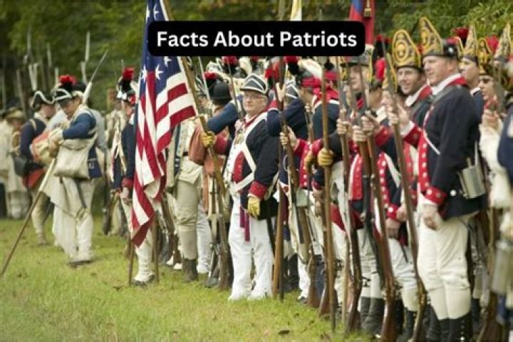 What did the Patriots think about taxes?