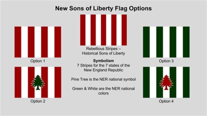 What did the Sons of Liberty burn of tax collectors?