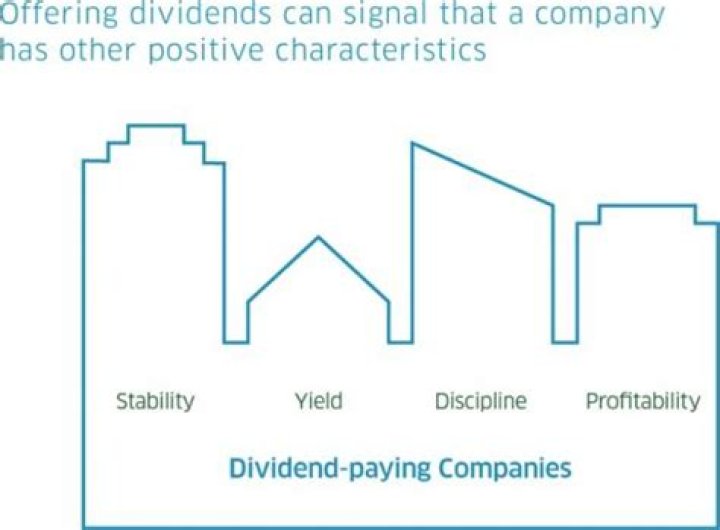What dividends say about a company?