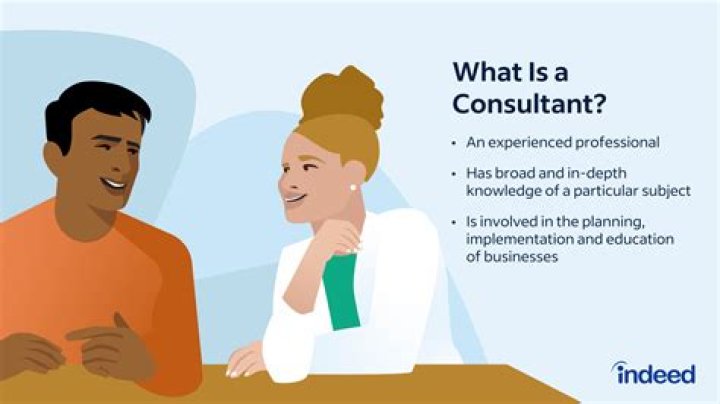 What do consultants do for small businesses?