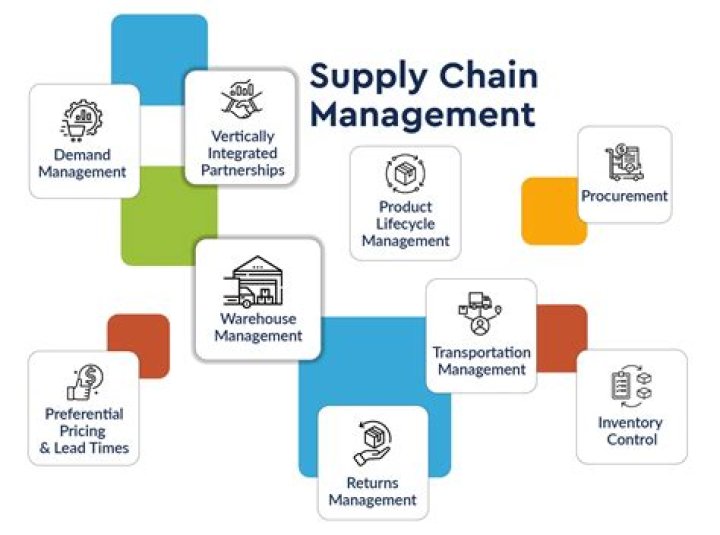 What do supply chain management consultants do?