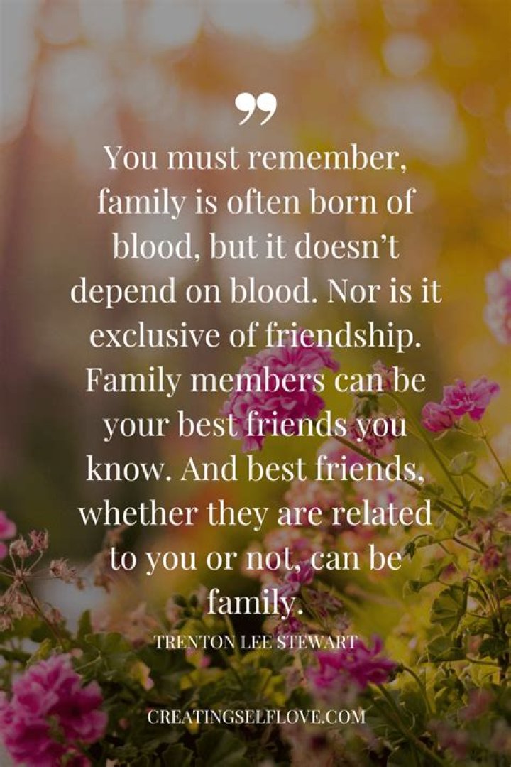 What do you call non blood related family?