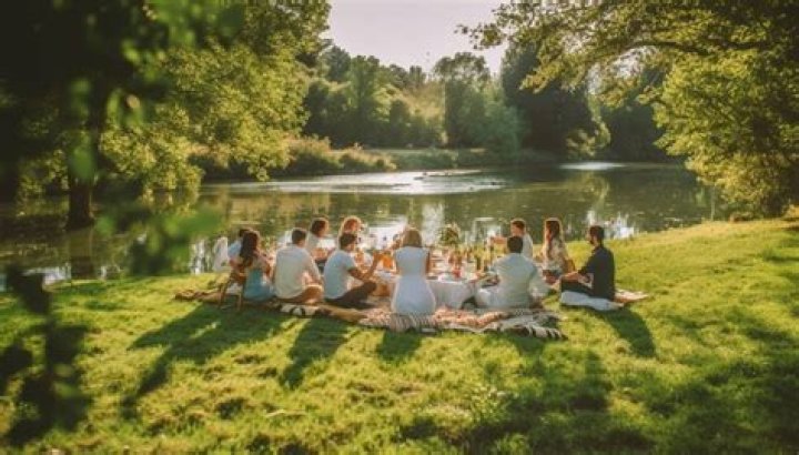 What do you do in a company picnic?