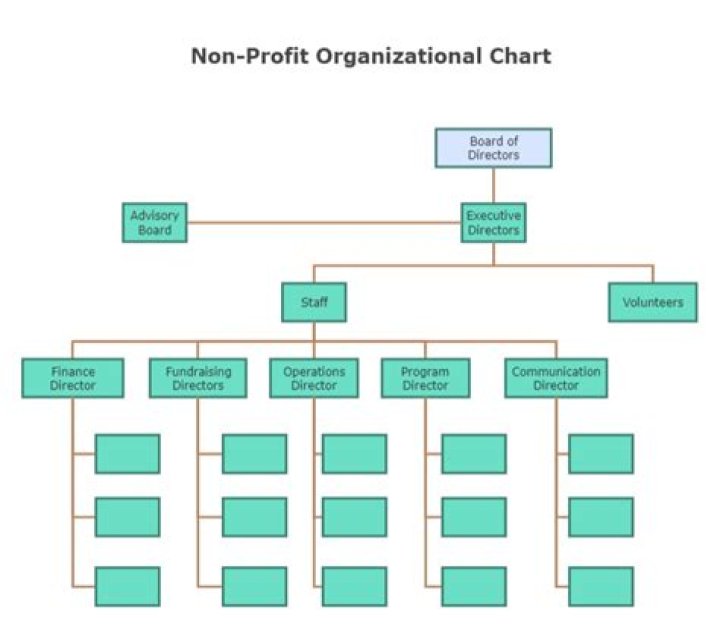 What do you mean by non-profit organization?