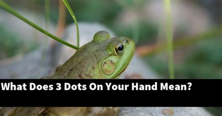 What does 3 dots on your hand mean?