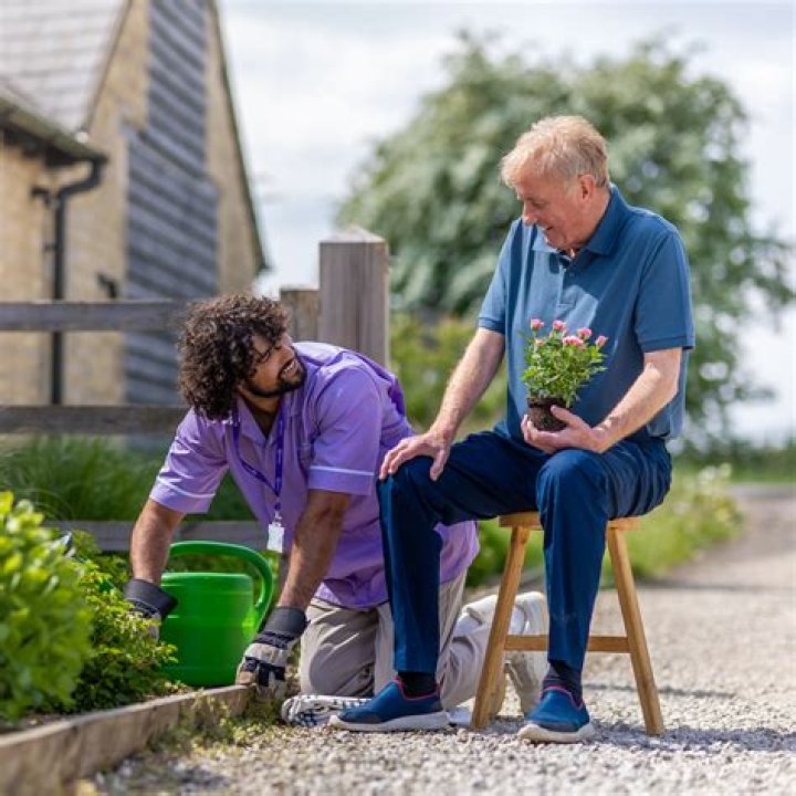 What does a companion for the elderly do?