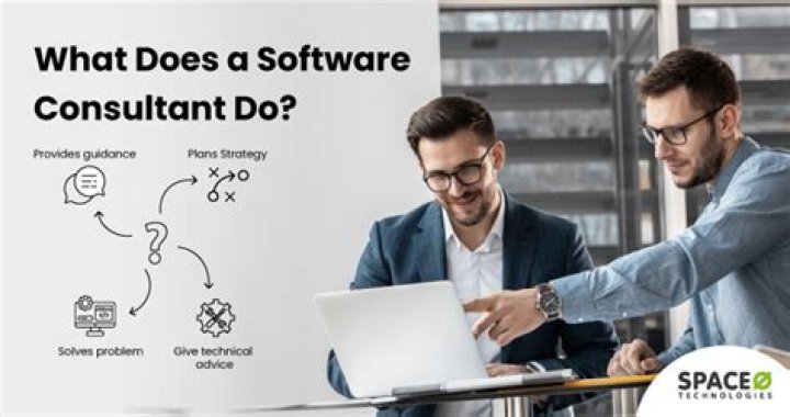 What does a computer software consultant do?