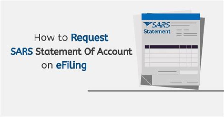 What does a negative amount mean on SARS eFiling?