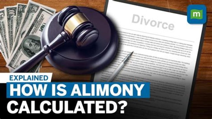 What does alimony in Solido mean?