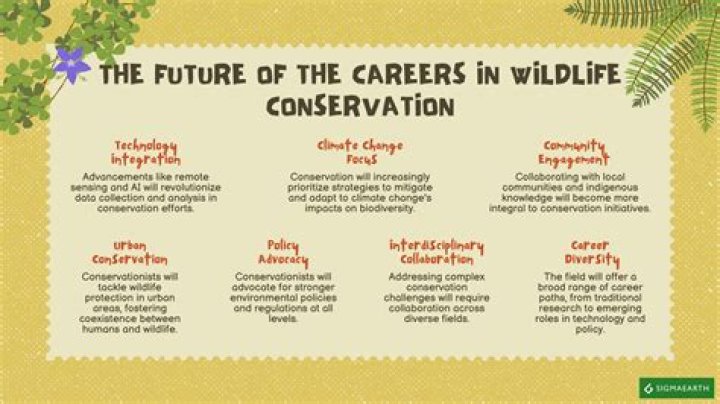 What does conservation mean in wildlife?