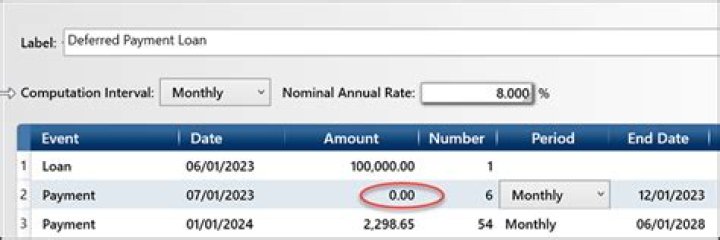 What does deferred interest with payment mean?