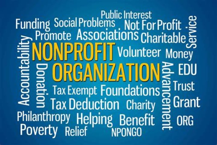 What does domestic nonprofit corporation mean?