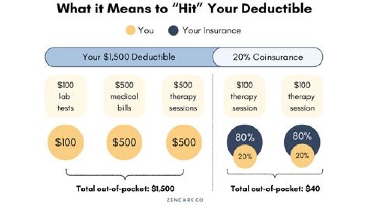 What does fully tax deductible mean?