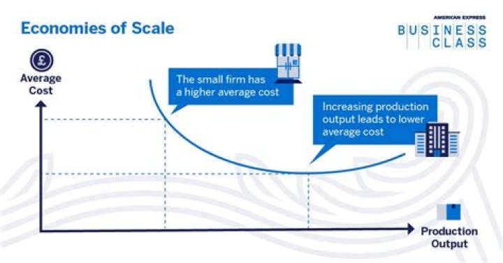 What does it mean if an Organisation has significant economies of scale?