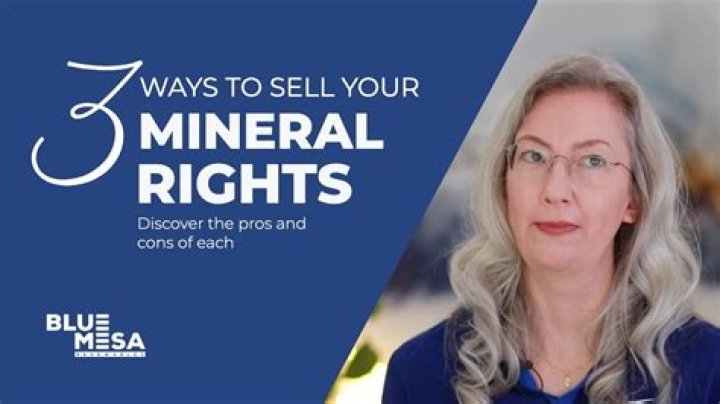 What does it mean to lease your mineral rights?