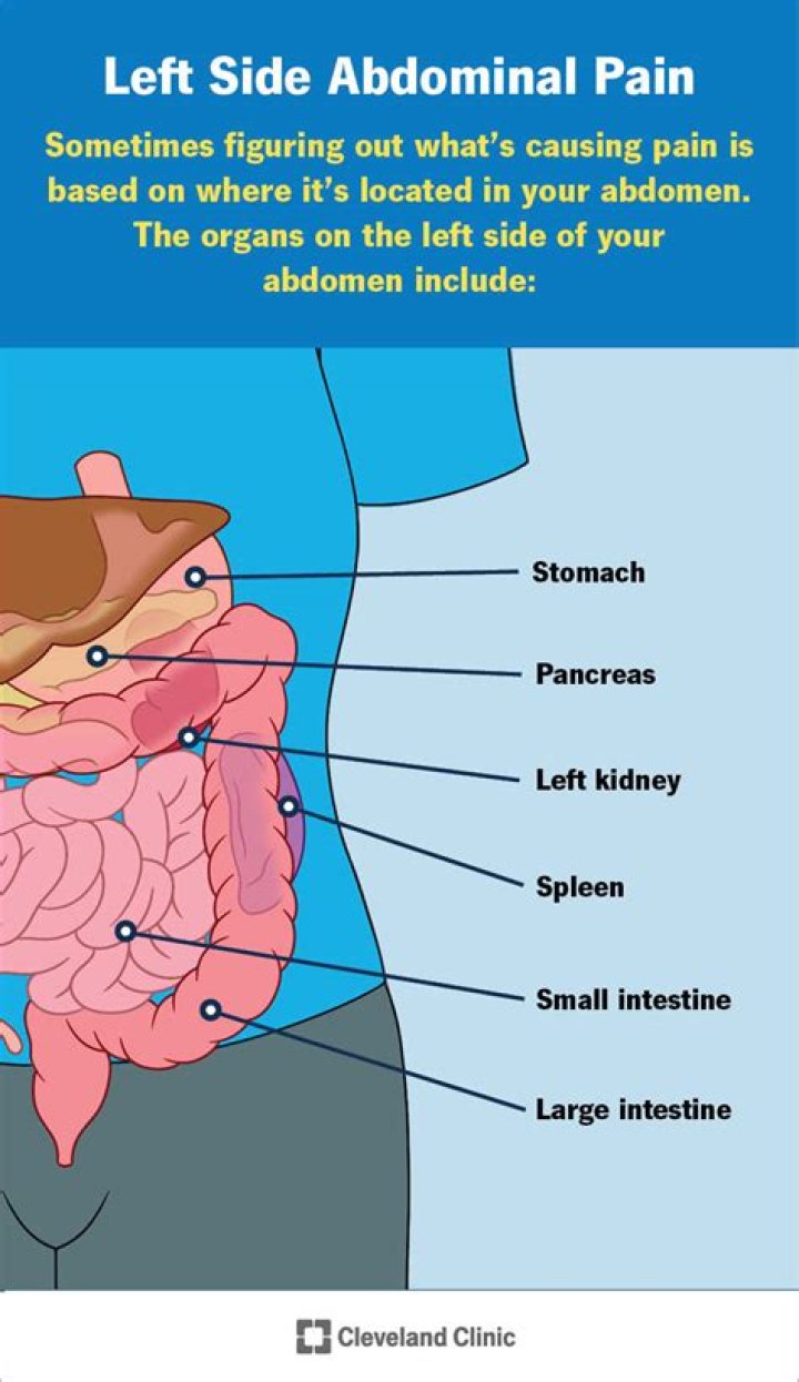 What does pain on your left side under your ribs mean?