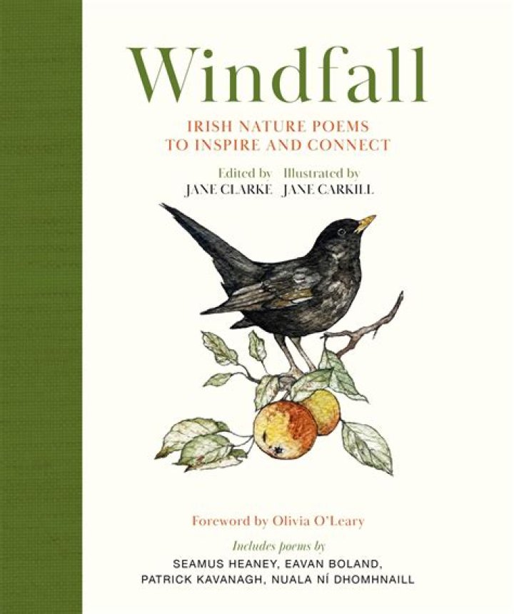 What does receiving windfall mean?