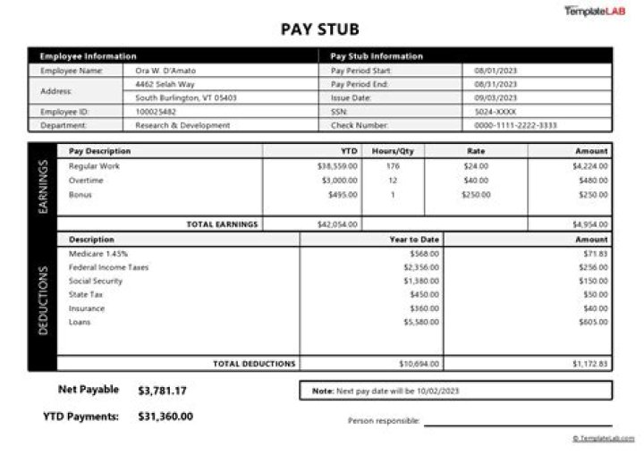 What does SWT stand for on Paystub?