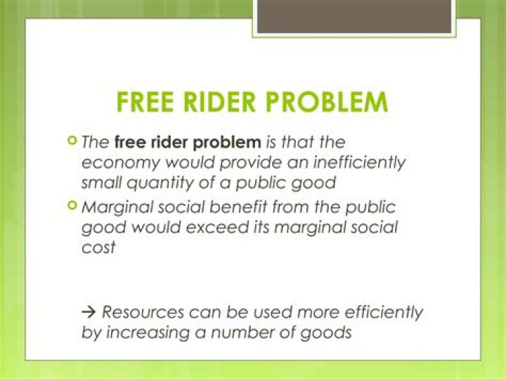 What does the free rider problem suggest might happen if the government?