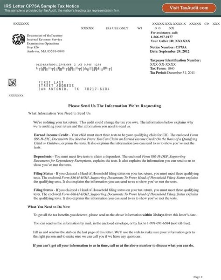 What does the IRS stand for what is their main purpose?