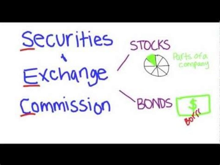 What does the Securities and Exchange Commission do?