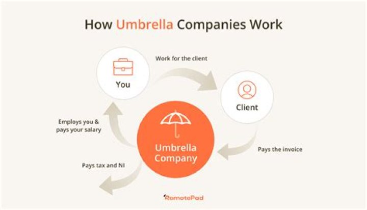 What does working for an umbrella company mean?