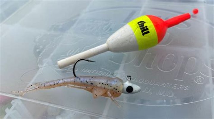 What else can I be rich besides money?