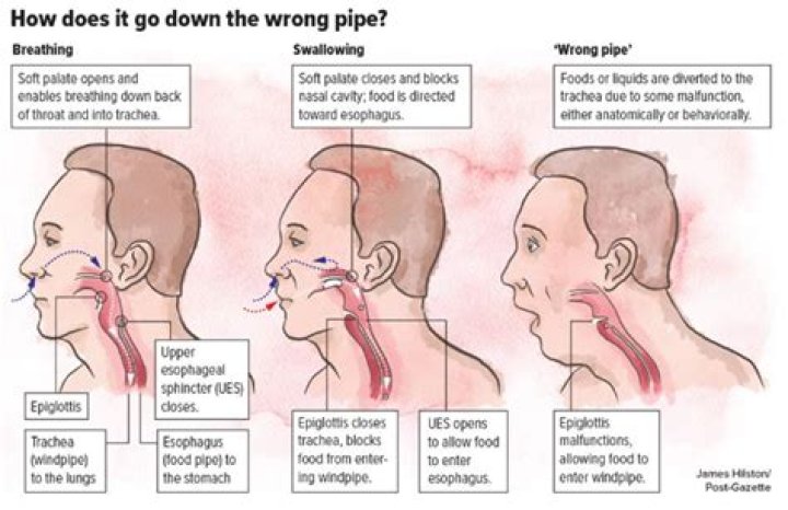 What happens if a loan gets rejected?