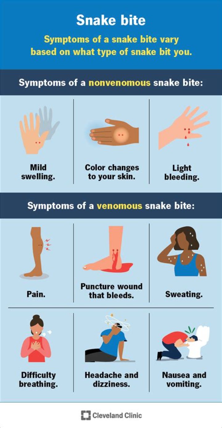 What happens if you get bit by a tik?