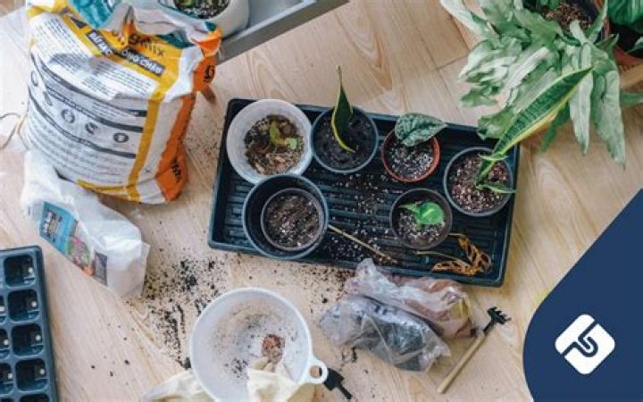 What happens to shares when a company is sold?