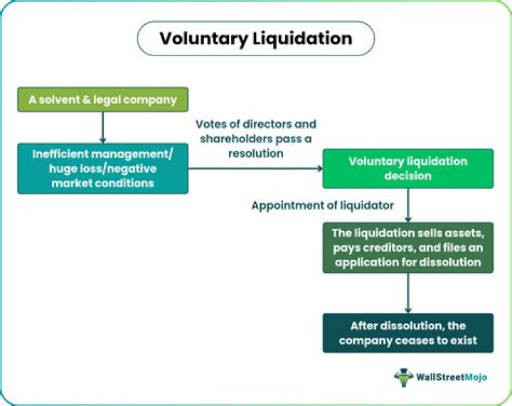What happens when a company enters voluntary liquidation?