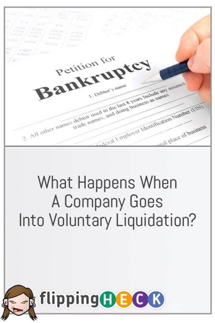 What happens when a company goes into voluntary liquidation?