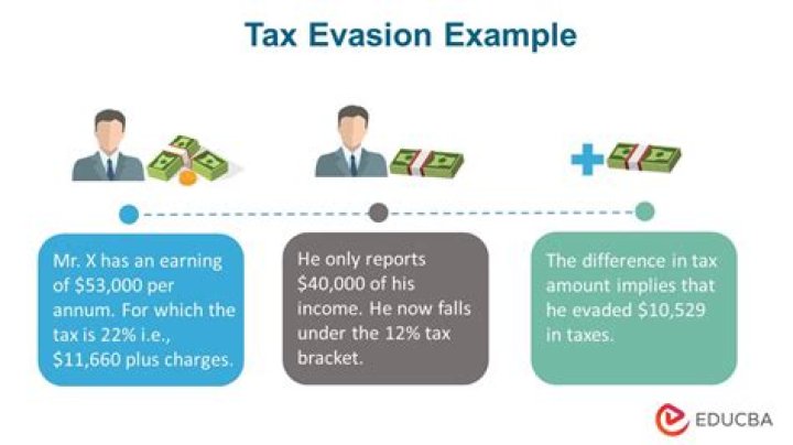 What happens when someone reports tax fraud?