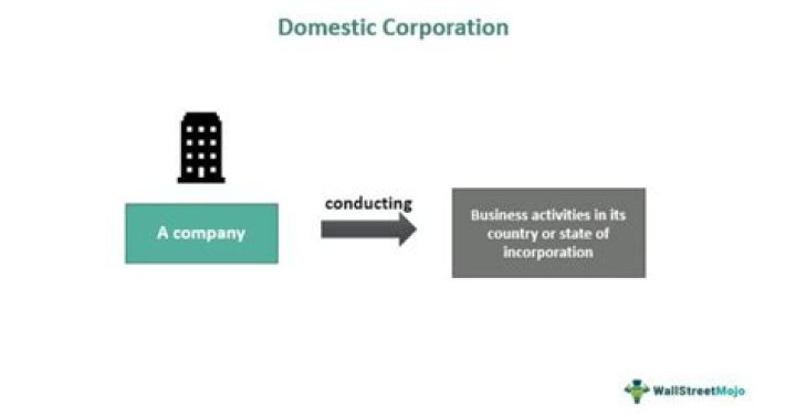 What is a domestic C corporation?