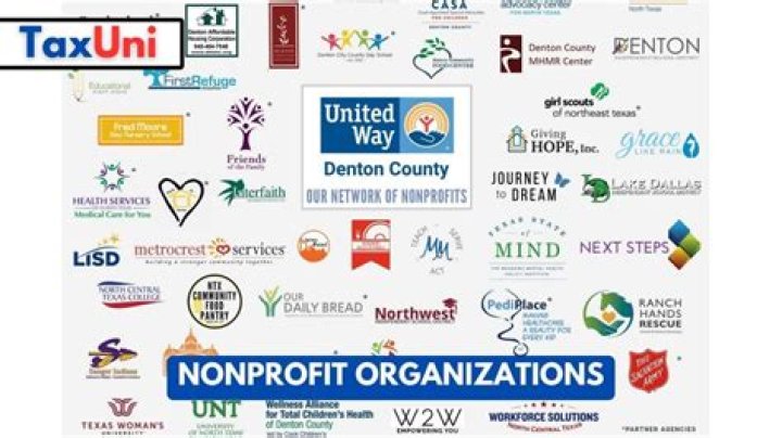 What is a domestic nonprofit corporation in Texas?