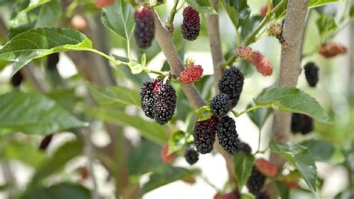 What is a fruitless expenditure?